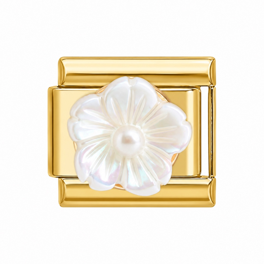 White Mother-of-Pearl Flower