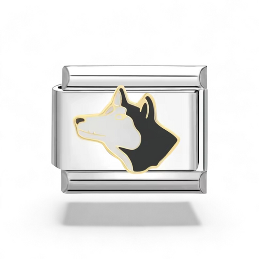 Chien Profil