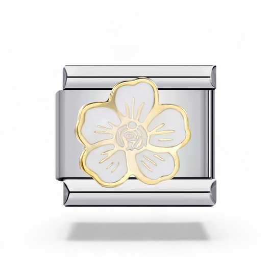 Fleur Blanche