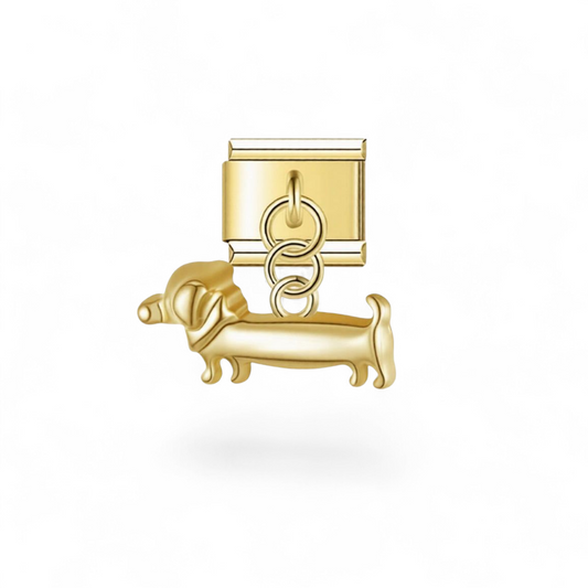 Golden Dachshund