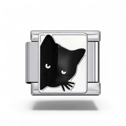 Black cat
