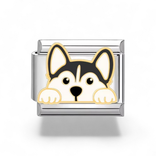 Chien Mignon